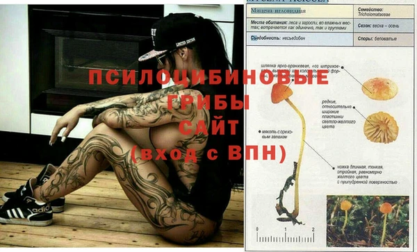 герыч Алзамай