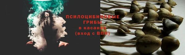 кокаин Алексин