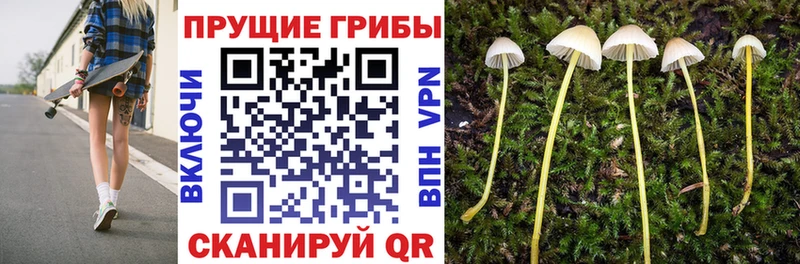 Галлюциногенные грибы Magic Shrooms  купить закладку  Дюртюли 